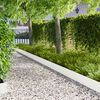 Product Thumbnail Image 2 of 10