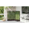 Product Thumbnail Image 4 of 8