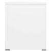 vidaXL Filing Cabinet White 46x62x72.5 cm Steel