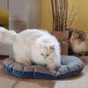 Ferplast Dog and Cat Cushion Stuart 89/10 Blue