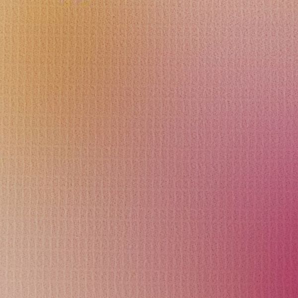 vidaXL Folding Room Divider 217x170 cm Flower