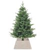 Product Thumbnail Image 3 of 7
