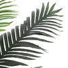 Product Thumbnail Image 3 of 5