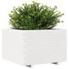 vidaXL Garden Planter White 70x70x49.5 cm Solid Wood Pine