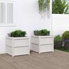 Product Thumbnail Image 2 of 12