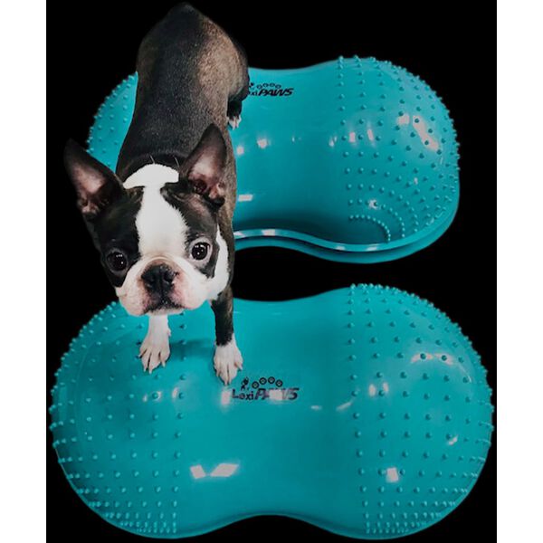 FitPAWS Pet Balance Platform FlexiPAWS Cloud 70x40x32 cm Teal