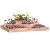 Product Thumbnail Image 3 of 6