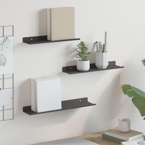 vidaXL Wall Shelf with Shelf Wall-mounted 2 pcs Black 30 x 18 x 2.5 cm