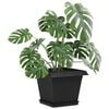 Product Thumbnail Image 3 of 12