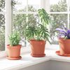 vidaXL Round Flower Pot 6 pcs Brick Red &Oslash; 17 x 14 cm Plastic