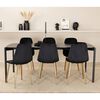Venture Home Dining Chairs 2 pcs Polar Velvet Black and Brass