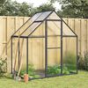vidaXL Greenhouse with Base Frame Anthracite 169x114x195 cm Aluminium