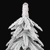 Product Thumbnail Image 3 of 8