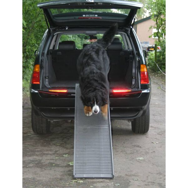 PetSafe Dog Ramp 180x45x6 cm Anthracite