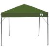 vidaXL Canopy Tent Manual Green 243 x 243 x 251 cm Fabric