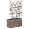 Product Thumbnail Image 3 of 7
