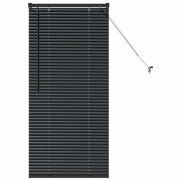 vidaXL Window Blind with Curtains Manual Black Aluminium