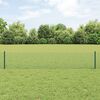 vidaXL Fence with Post Green 0.4 x 100 m Steel and PVC