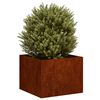 Product Thumbnail Image 3 of 10