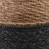 Product Thumbnail Image 4 of 5