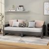 vidaXL Pull-out Day Bed without Mattress Grey 2x(90x190) cm