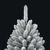 Product Thumbnail Image 11 of 16