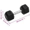 vidaXL Dumbbells 2 pcs 16 kg Total Cast Iron