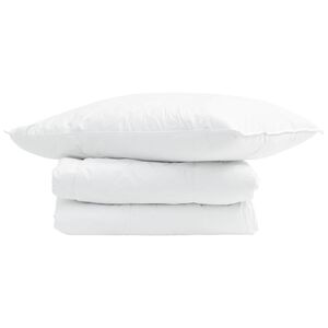 vidaXL Summer Duvet with Pillow 2 pcs White Down Feather