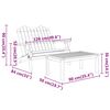 vidaXL 2 Piece Adirondack Garden Lounge Set Solid Wood Acacia
