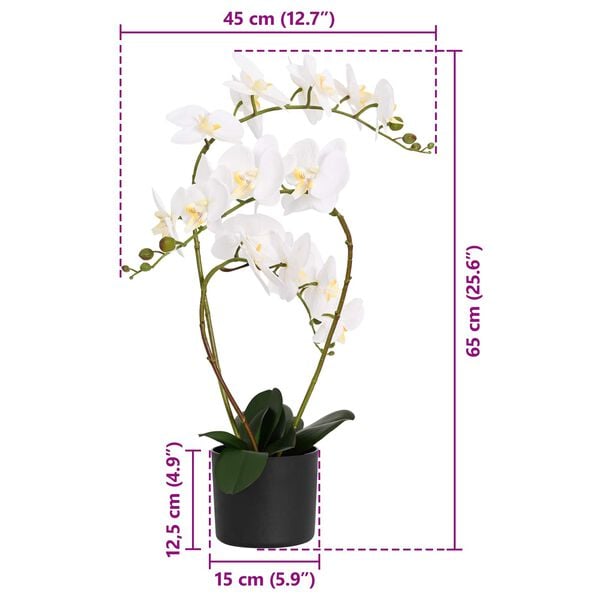 Showing Product Image 4 of 4