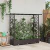 Product Thumbnail Image 2 of 8
