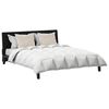 vidaXL Duvet Set with Pillow 3 pcs White Down Feather