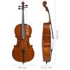 vidaXL Cello Full Set with Bag and Natural Hair Bow Dark Wood 4/4