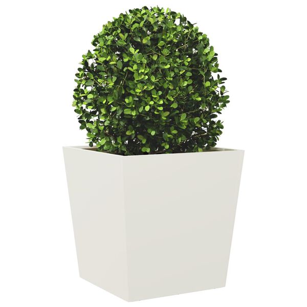 Showing Product Image 4 of 12