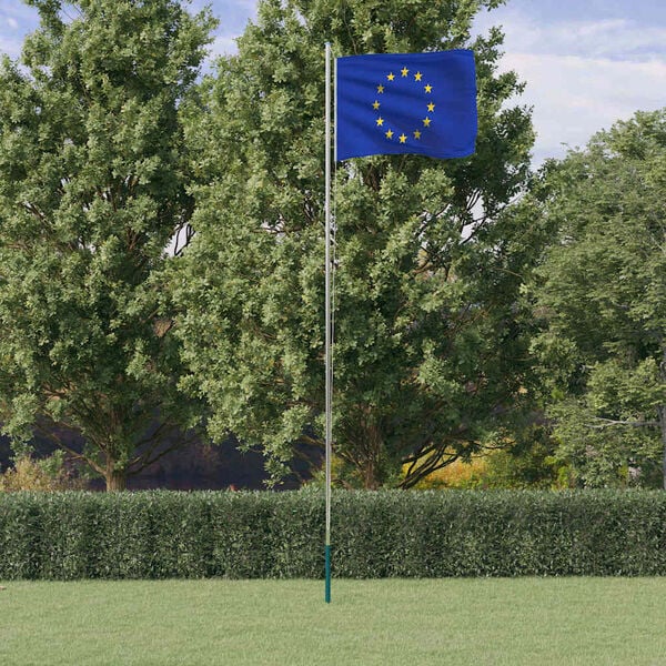 vidaXL Europe Flag and Pole 6.08 m Aluminium