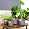 Product Thumbnail Image 2 of 8