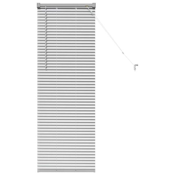 vidaXL Window Blind with Curtains Manual Silver Aluminium