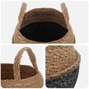 Product Thumbnail Image 4 of 6