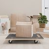 vidaXL Transport Trolleys 2 pcs Rectangular 80x55x11,5 cm 250 kg