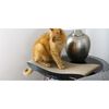 MyKotty Cat Scratcher TOBI 59x25x6.9 cm Black 3089