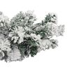 Product Thumbnail Image 4 of 5