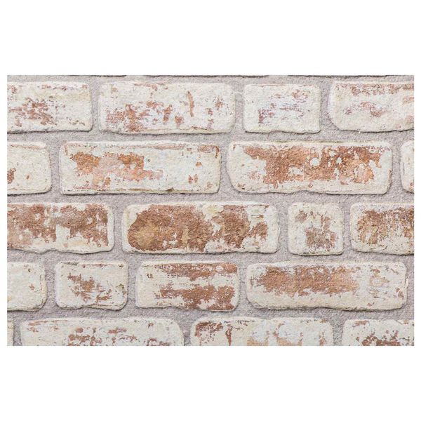 vidaXL Wall Panels 10 pcs Red and White 100 x 50 cm EPS Foam