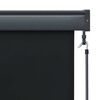 vidaXL Outdoor Roller Blind 160x250 cm Anthracite
