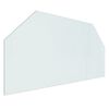 vidaXL Fireplace Glass Plate Hexagon 100x50 cm