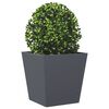 Product Thumbnail Image 4 of 12