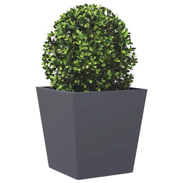 Showing Product Image 4 of 12