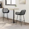 vidaXL Bar Chair 2 pcs Black 55 x 52 x 92 cm Rattan and Iron