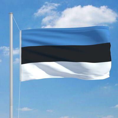 vidaXL Estonia Flag and Pole Aluminium 6.2 m