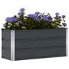 vidaXL Planter Anthracite 100 x 40 x 45 cm Steel