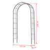 Nature Garden Arch Metal 229x38x113 cm Black